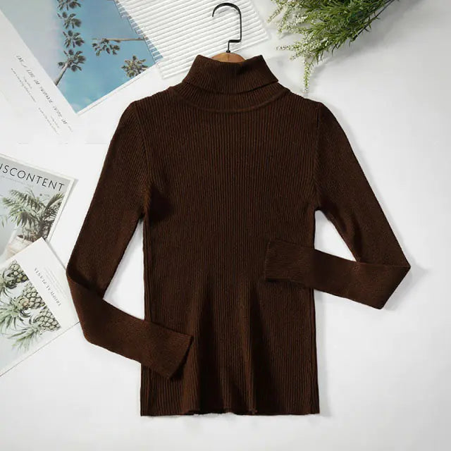 Turtleneck Women Sweaters