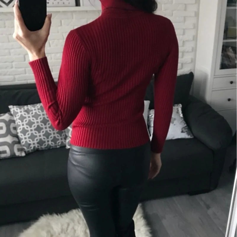 Pullover Women Knitted Turtleneck Sweater